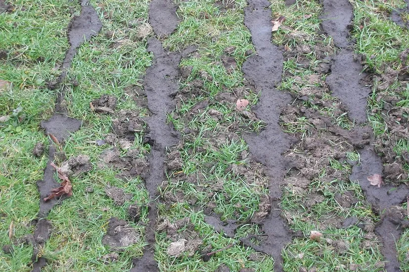 th8z63dwgqhwsjnyj46b93dvj bemesting