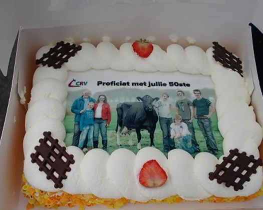 tjz4vbs4rxubw1220tvf3zrsz 220425