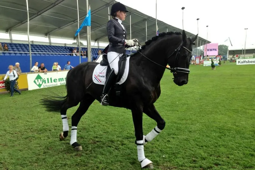 toh897u9kzpc7fiupqqv2dzst csi twente 3