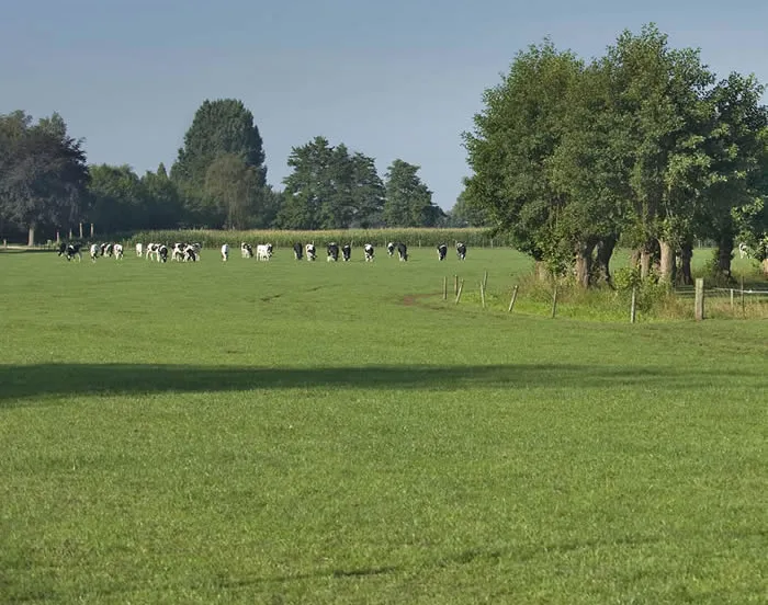 tx4krzjdwrr4iggnp5p0swgt4 153046