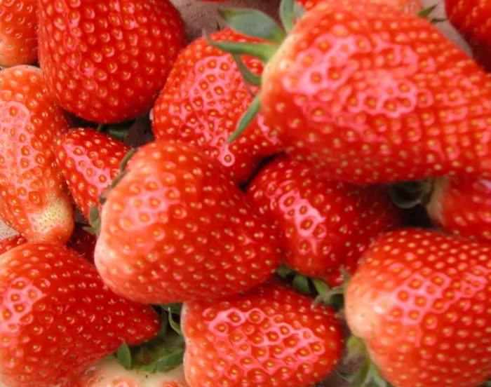 ugx612zv64wt1o3y7o6xtjmat 232778