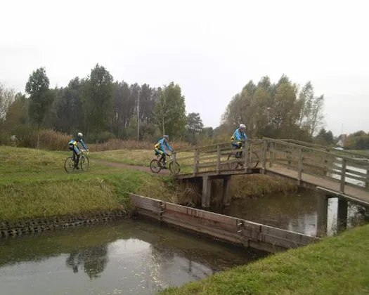 up81bdhsheb0sigi82kly6ifm 102288