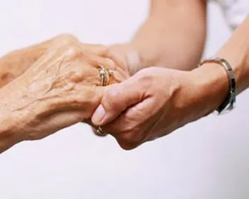 urx578sxd77hmo40id78mul0f 124406