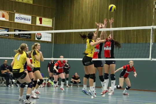 vi5be9y5k7vbpm4oj89gdohcx 103023