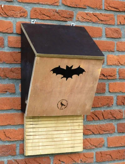 vleermuiskast vogelwerkgroe