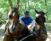 vone1rveykumin9v9ltz0wiew 88841