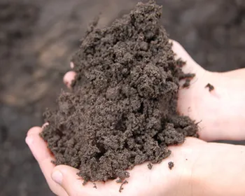 vqge3gl7josu1baf5jfy0n3jx 221232