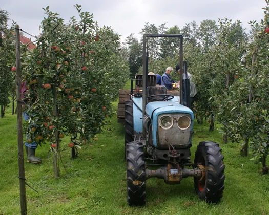 vxkicgtaa7u4uv1zvjimvpxek 173536