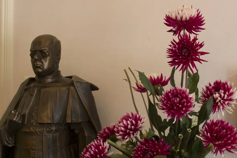 w8tnoqjq4ef5v99spxmya48bu schaepman in de dahlias