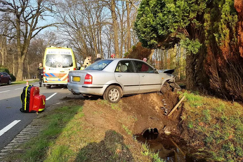 whatsapp image 2019 03 21 at 171258