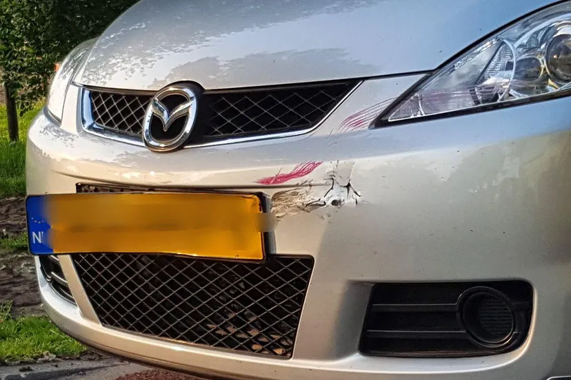 whatsapp image 2019 05 01 at 200057