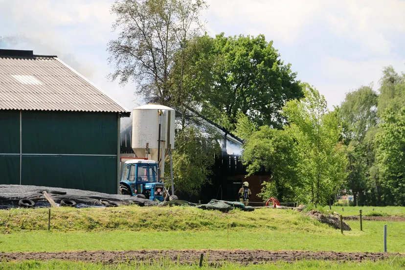 whatsapp image 2019 05 06 at 122610