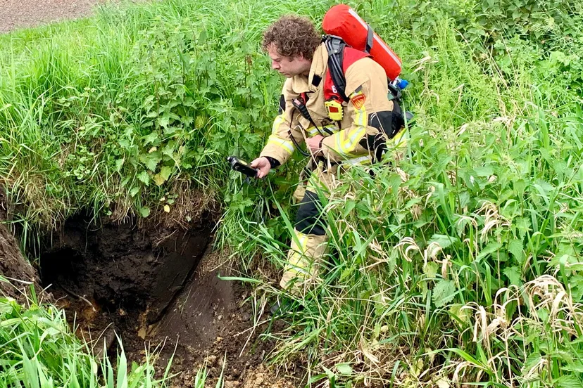 whatsapp image 2019 05 21 at 124906