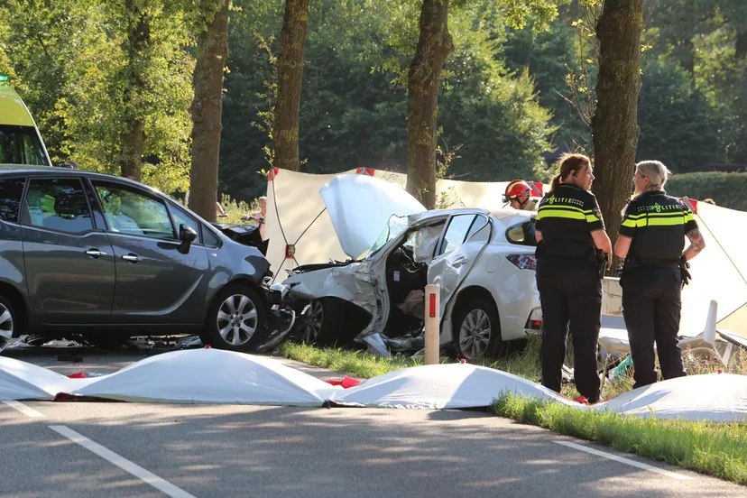 whatsapp image 2019 08 08 at 182259