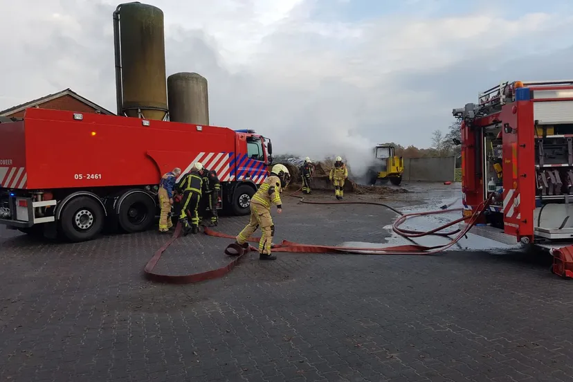 whatsapp image 2019 11 22 at 1110541