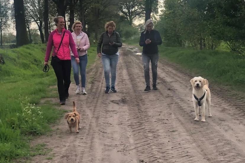 whatsapp image 2021 05 27 at 164135