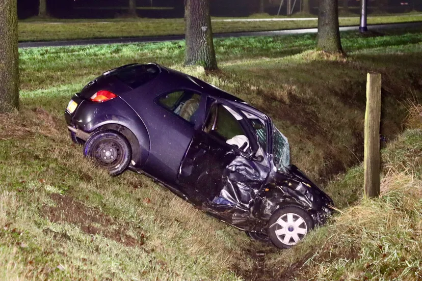 whatsapp image 2021 12 12 at 230456