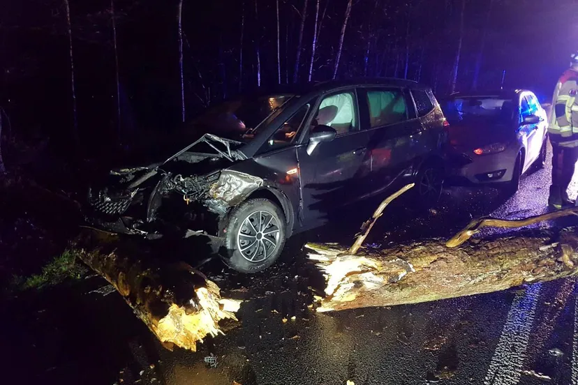 whatsapp image 2022 02 16 at 213501