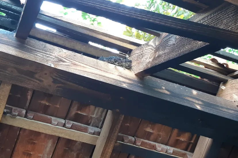 whatsapp image 2022 06 18 at 14207 pm 1