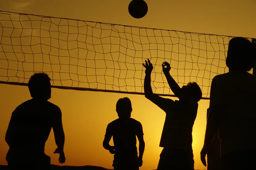 wlelqx3mp1u25m6tvju7gdk56 volleyball