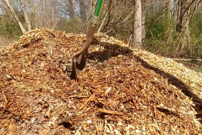wood chips 4