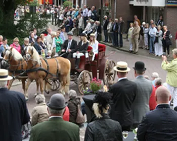 wua80i8euxxvim4ikzw61uy49 156968