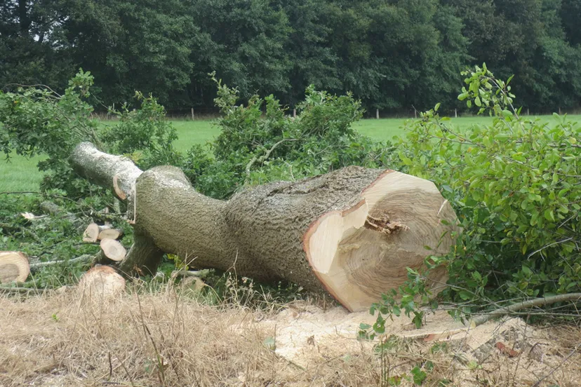 wyg3k3n3nf3mz97z8vn4u724q gekapte eik