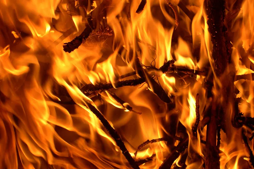 wyujc7h88dxdw9t7ww7xdnp5r vuur