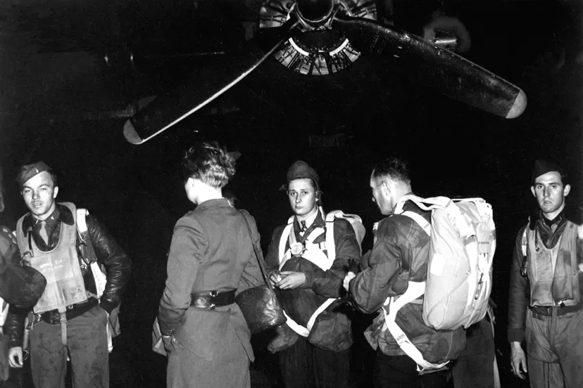 x8ng52fvt4k1gh6ryty2a5u5z jedburghsinfrontofb 24hd sn 99 02697