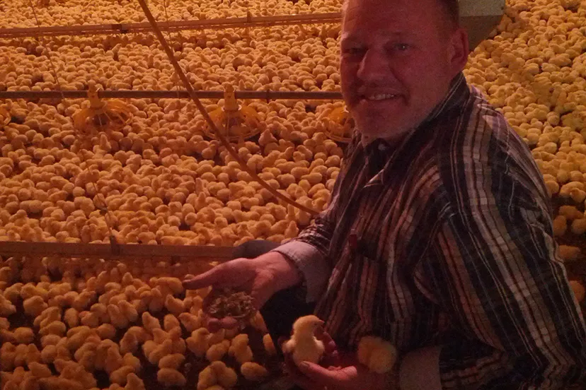 x8tf5cid53zldmkcu9omac9rt 212374