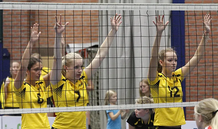 x93nz2tdxqd77sdkgt099idru 2014 6