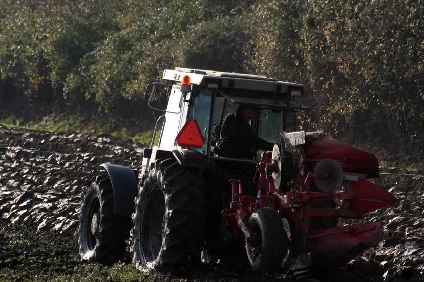 xuvrhgwml0kbinvqoyxsxtxej 99564