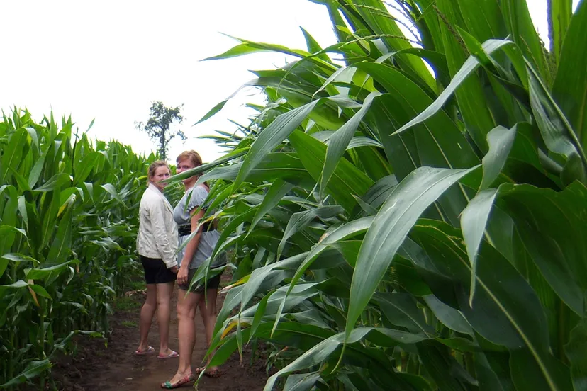 xzwo00huh7joo0wrjr8tv5tgr vvv gemeente tubbergen groot twents maisdoolhof