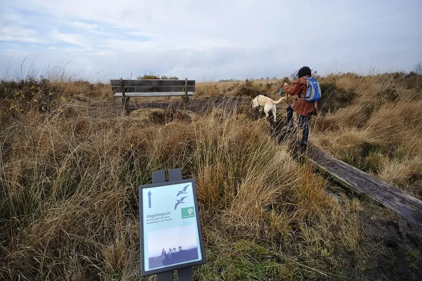 yau15bo5h2zzk2klsf8898s3c engbertsdijksvenen