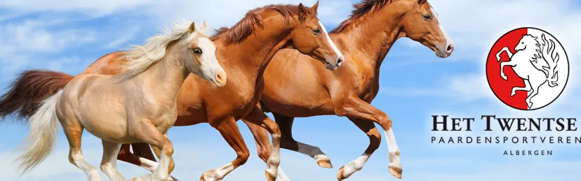 z5tar401udyel57sgnqzepsuu het twentse ros