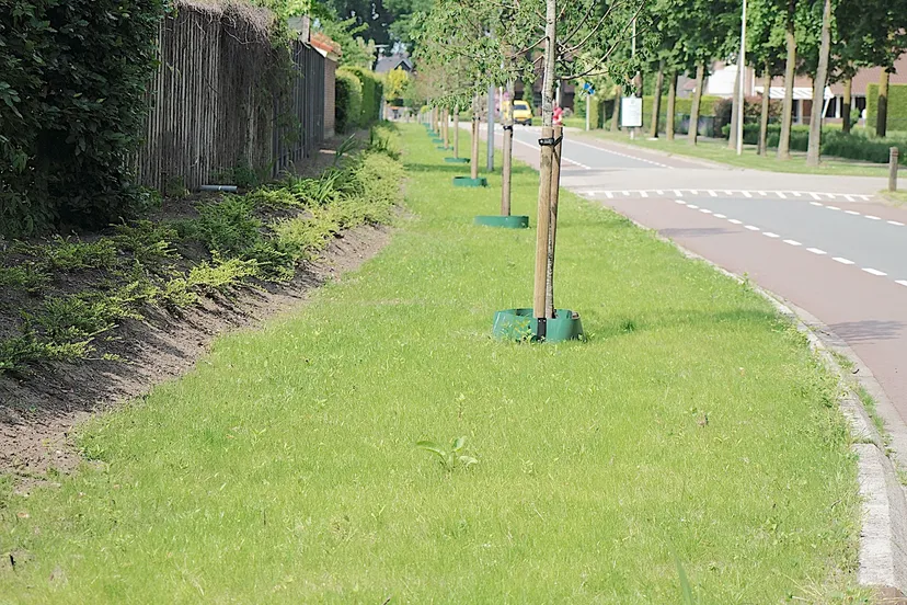 zenderseweg albergen