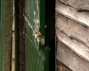 zhpsk8pvctoanz60w99iiyvza 157485