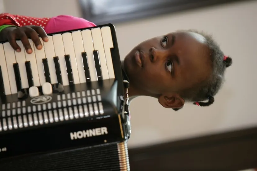 zt53q63w1en8tk9mwflpsen9q accordeon 2