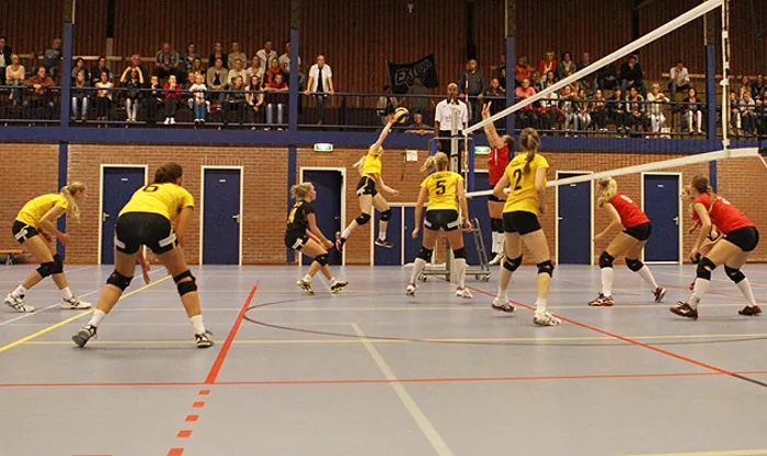 ztlylqr5j8gn0jsa8nxlod217 tornado dames 1