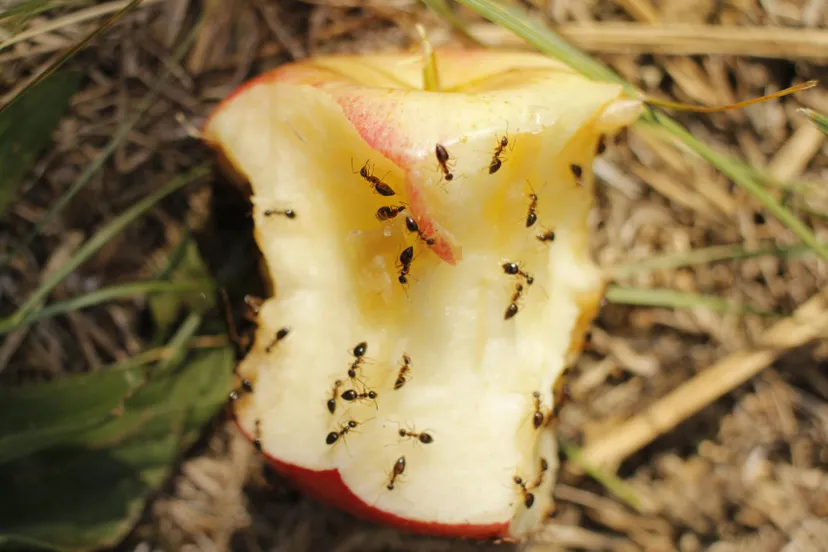 pexels mrrucci 5488578