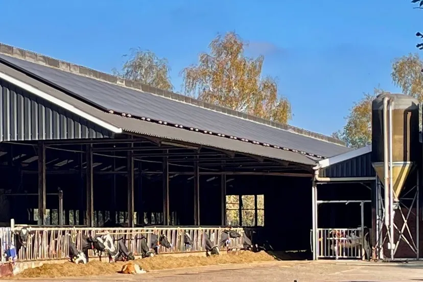 img 2024 10 24 155047