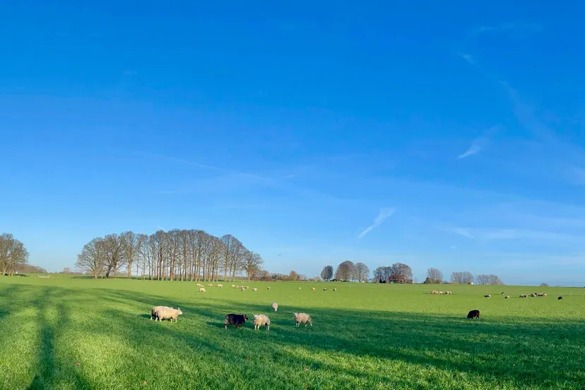 img 2024 12 27 094943