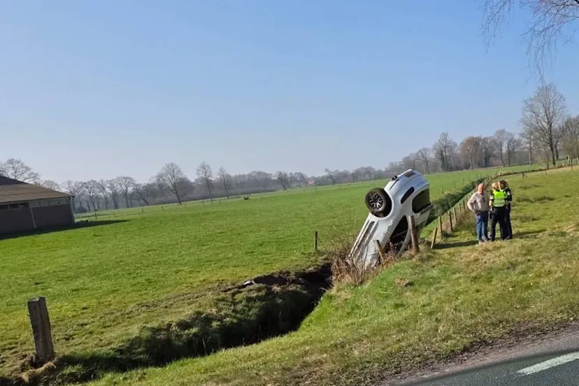 afbeelding van whatsapp op 2025 03 28 om 100214 cc03461d