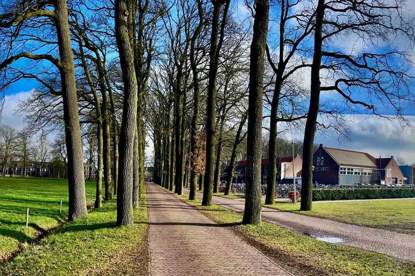 img 2025 03 02 214451