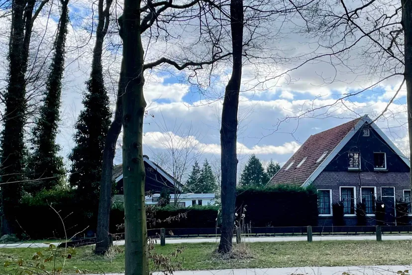 img 2025 03 14 155011