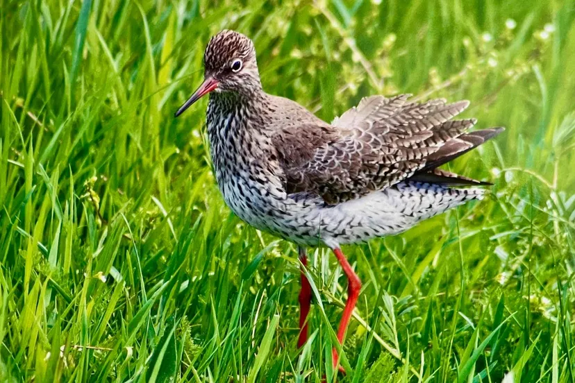 img 2025 03 31 184603