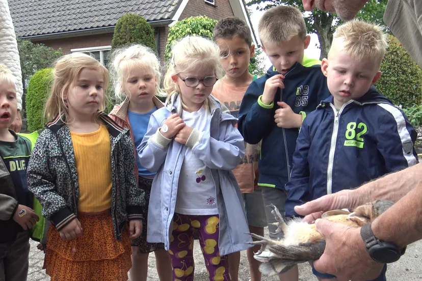 2025 06 27 de boerderij bij ringen kerkuilen03