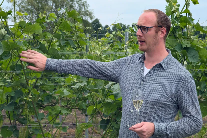 86d4a563 f12b 4dfc 9a51 a08ed7790ff21