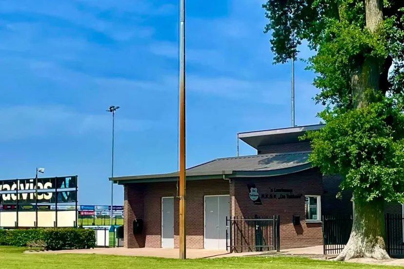 img 2025 06 13 124421