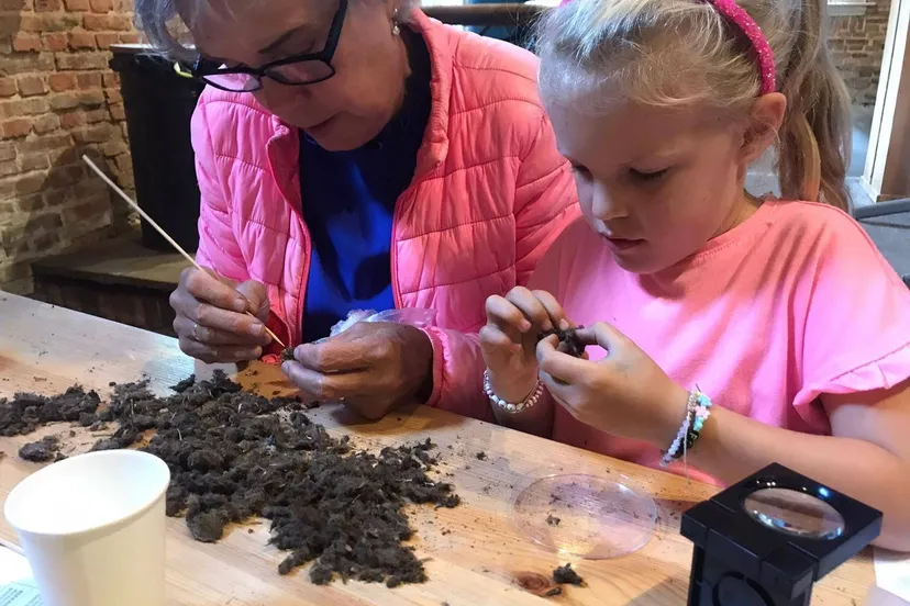 Uilenballen pluizen - Bernadette Koopmans
